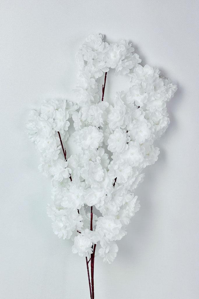 Загружен программно: 1770978419224072.jpg