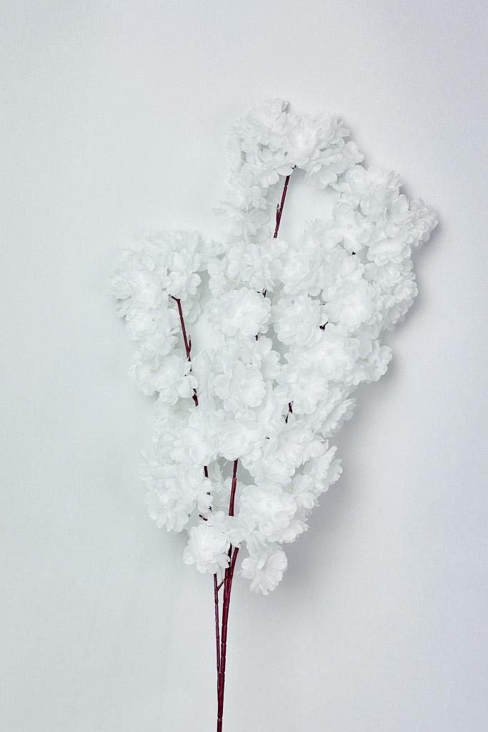 Загружен программно: 1770978419456719.jpg