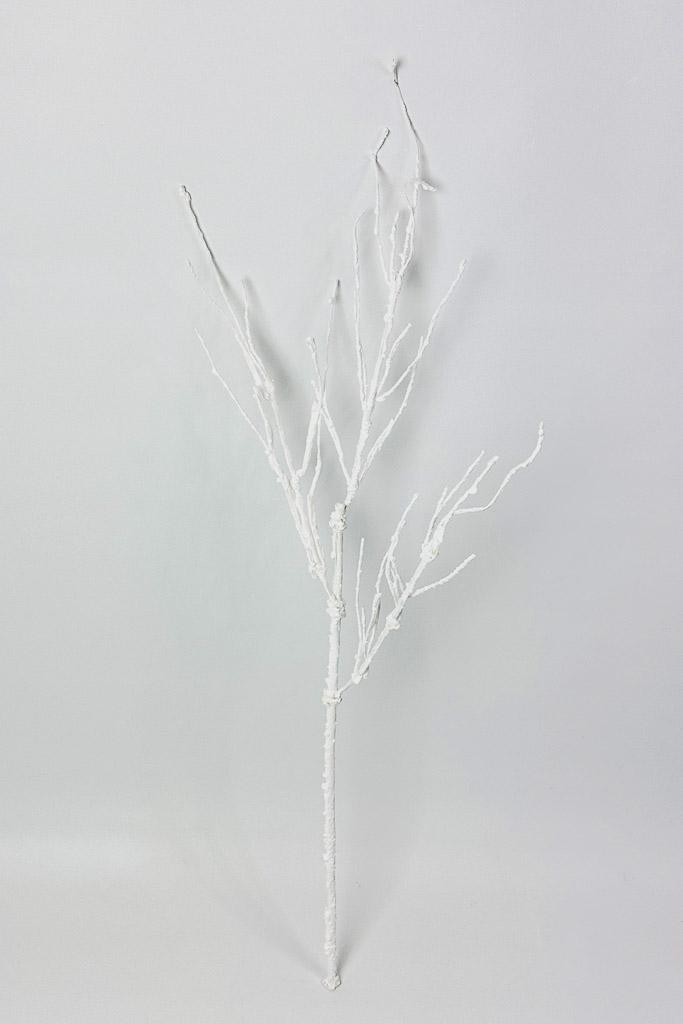 Загружен программно: 1771071820501379.jpg