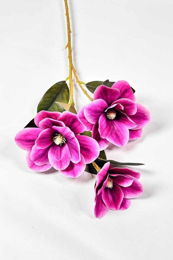 Загружен программно: 1771152562170495.jpg