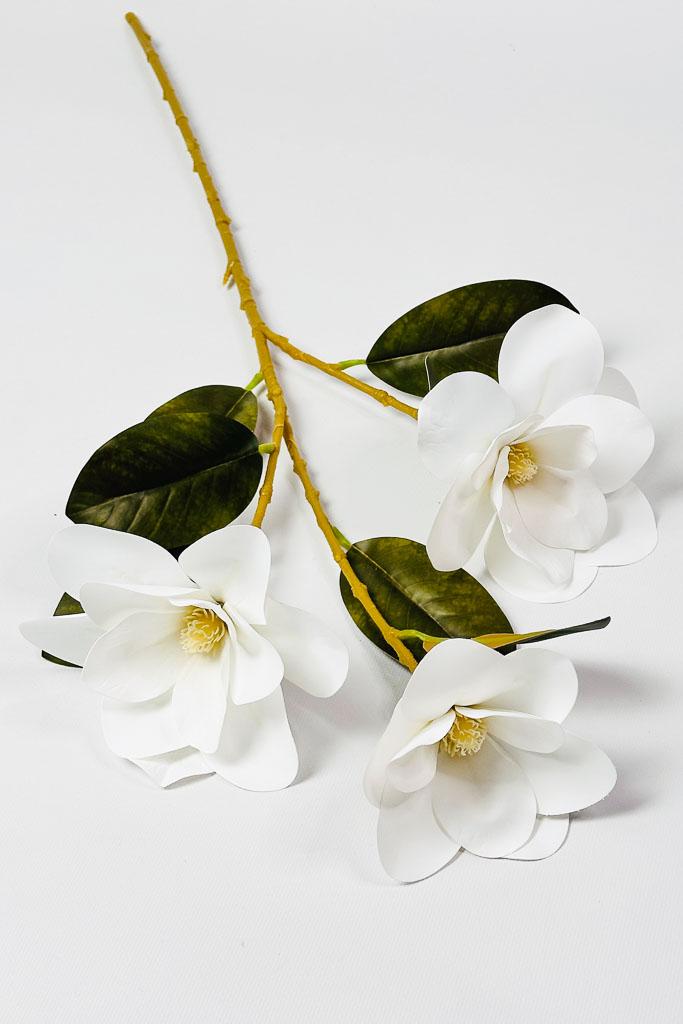 Загружен программно: 1771152563979293.jpg