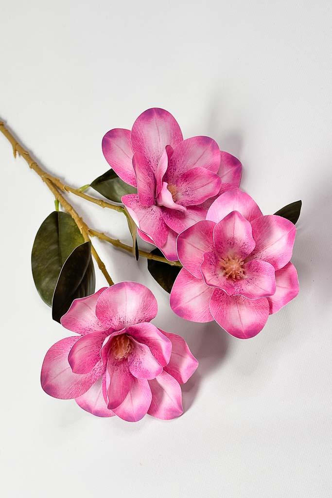 Загружен программно: 1771152572989475.jpg