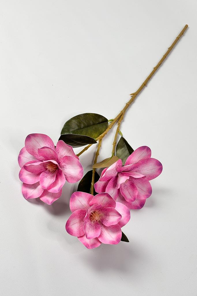 Загружен программно: 1771152573222903.jpg