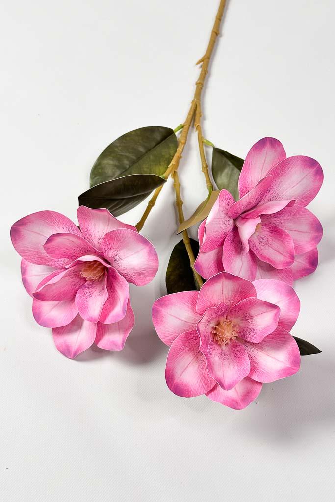 Загружен программно: 1771152575828964.jpg