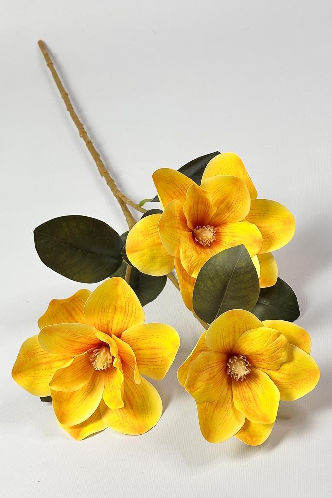 Загружен программно: 1771152595242498.jpg