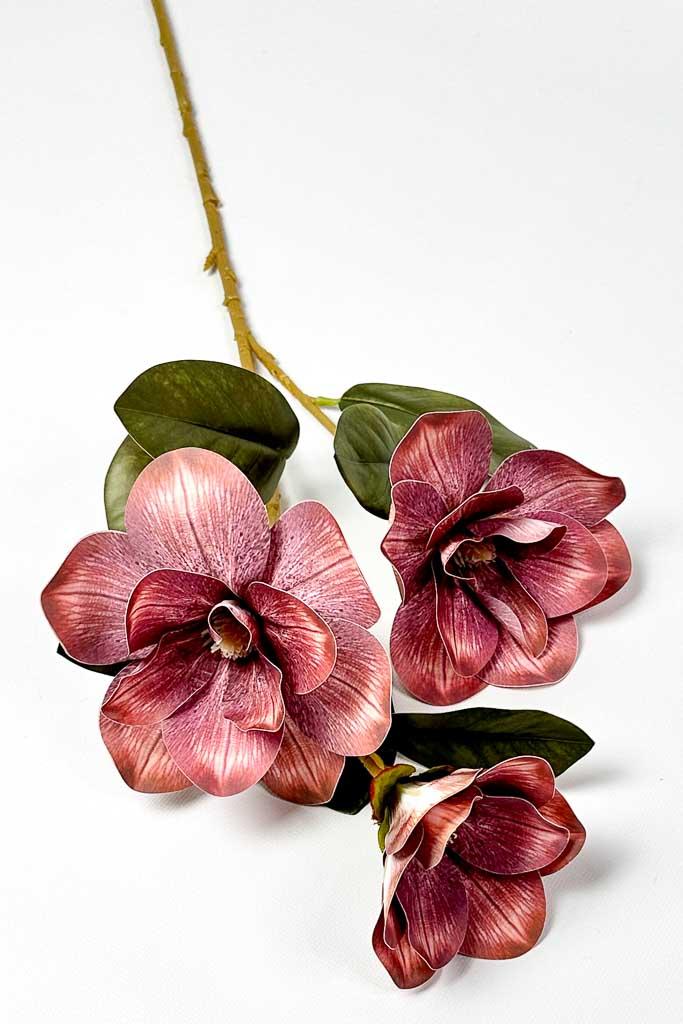 Загружен программно: 1771153120442885.jpg