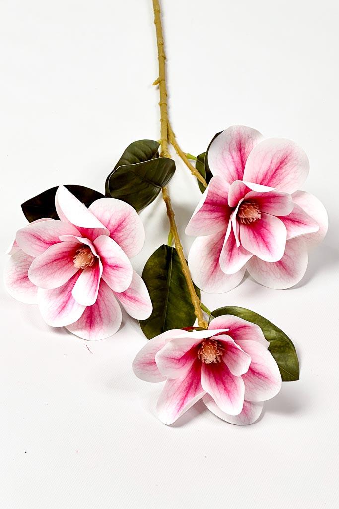 Загружен программно: 1771153194146645.jpg