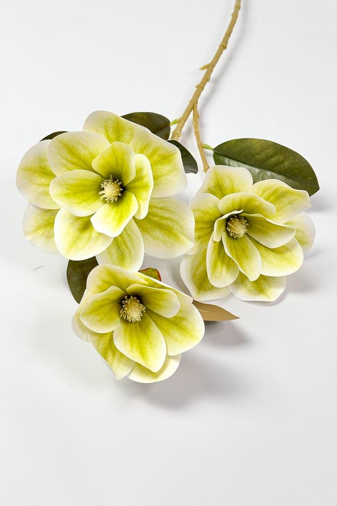 Загружен программно: 1771153195856525.jpg