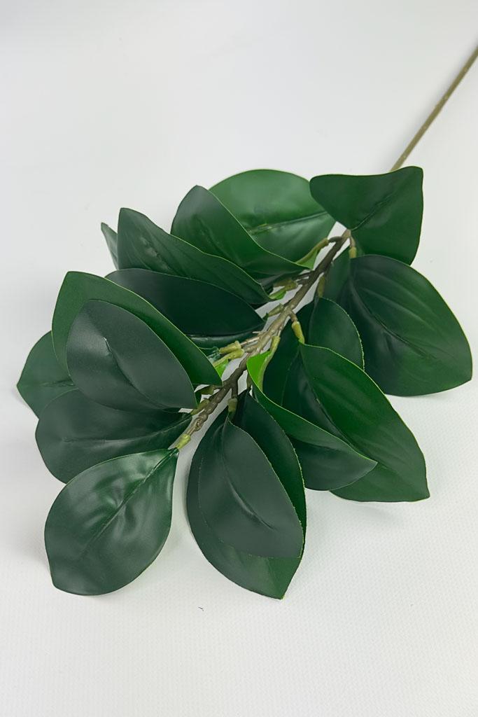 Загружен программно: 1772133899413950.jpg