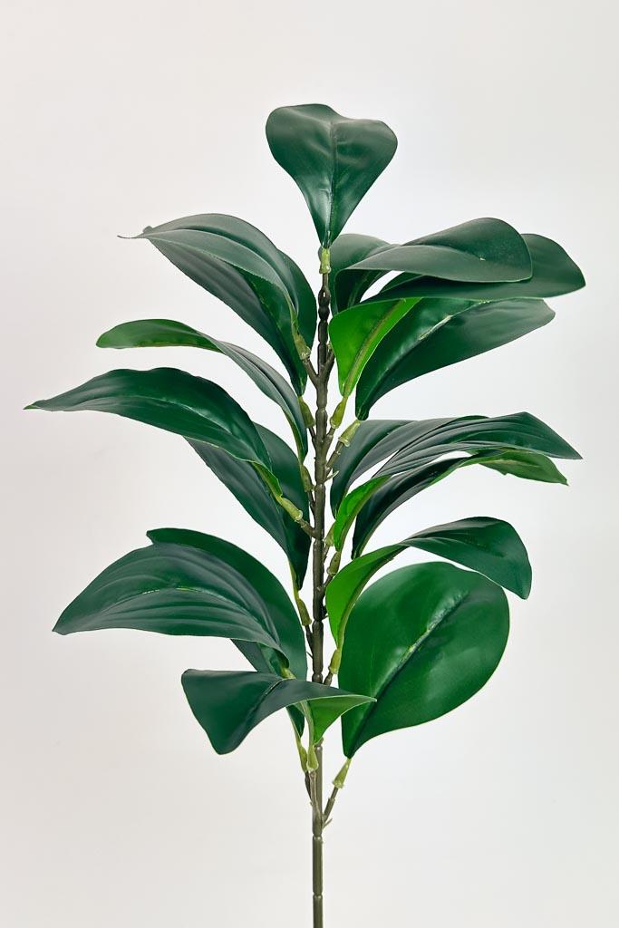 Загружен программно: 1772133902859478.jpg