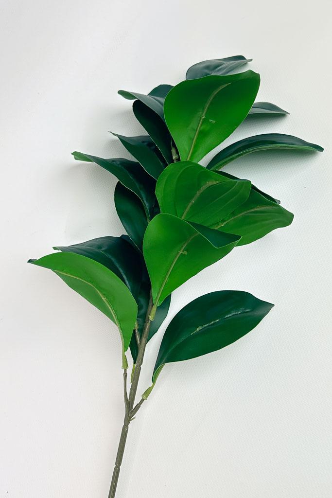 Загружен программно: 1772133906693133.jpg