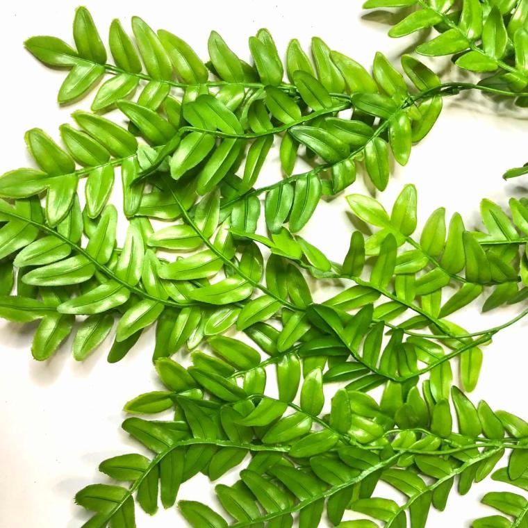 Загружен программно: 1_6.jpg