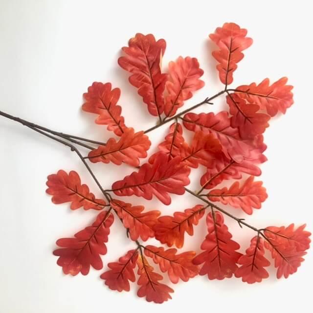 Загружен программно: 25ce44be-dbcb-405f-83aa-55bf61bd249c.jpeg