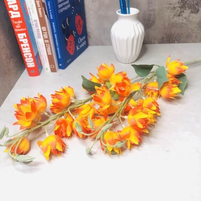 Загружен программно: 2b729fe2-c453-4a0e-970b-cccb19919432.jpeg