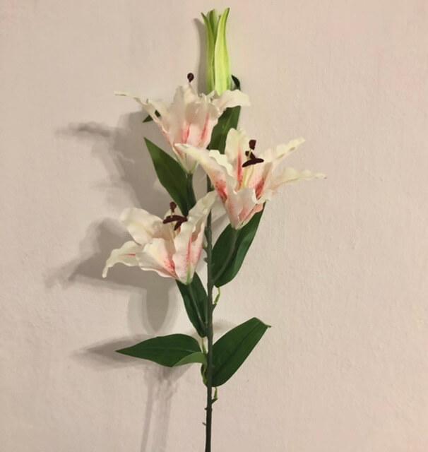 Загружен программно: 31183e44-61b8-4e38-bf09-14e4c5fe1fb8.jpeg