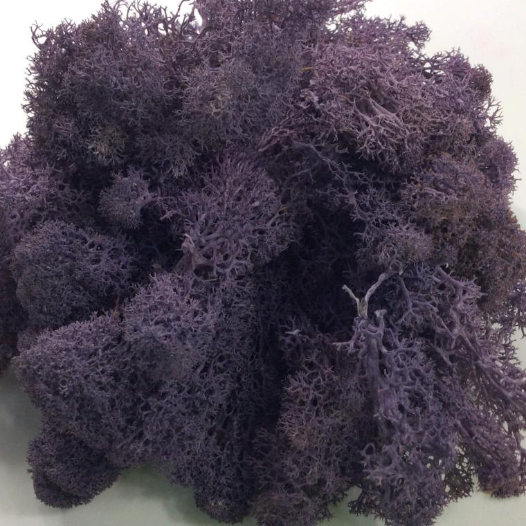 Загружен программно: 3b3f4c3b-4eed-4678-8c89-0dfdc13377f2.jpeg