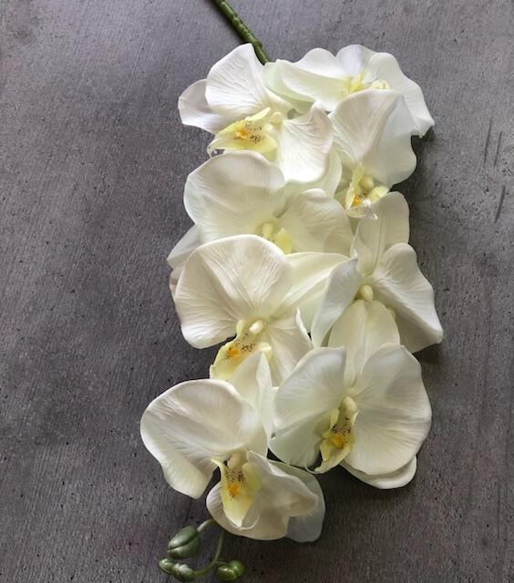 Загружен программно: 486868cf-a992-49b1-abfe-f4eeba3c00c9.jpeg