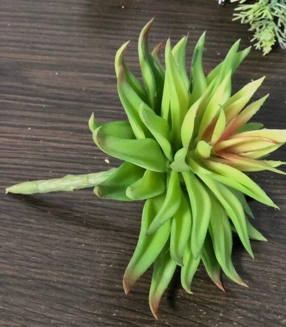 Загружен программно: 56f91a17-d5dc-47e9-be5c-993e4a72cdd7.jpeg