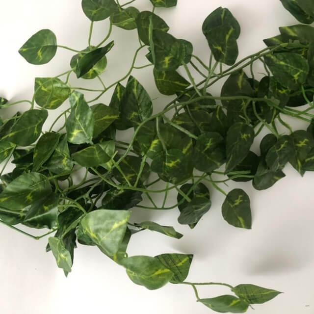 Загружен программно: 5fc2a66b-5413-4656-8990-6811e20ab3cf.jpeg