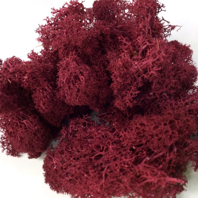 Загружен программно: 614a29e2-02e5-4d96-bdd5-d5137c877272.jpeg