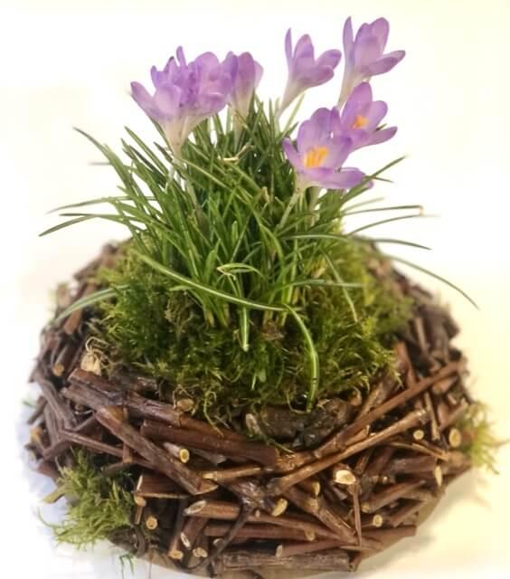 Загружен программно: 75ebc599-3427-4864-8c78-ade066dc3025.jpeg