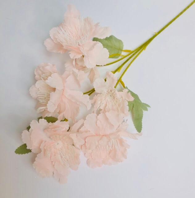 Загружен программно: 7d4ee1e2-683f-46e4-9862-44e4bbd77dd7.jpeg