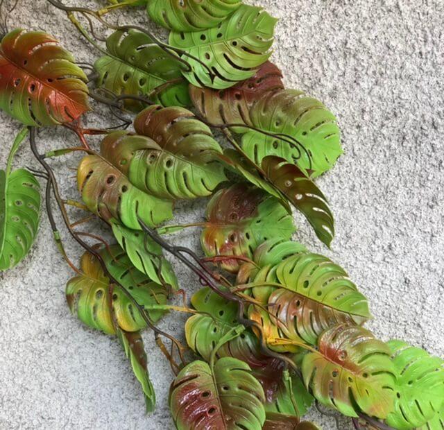 Загружен программно: 7ee43fa2-ad1f-4f67-860e-97c2108f4b67.jpeg