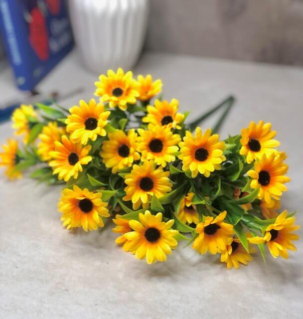 Загружен программно: 84eef26f-5f9b-4d50-834a-173afec2ef2a.jpeg