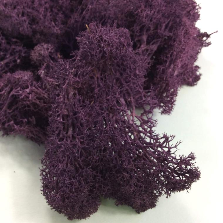 Загружен программно: 88a575a7-0510-4262-b2e3-ee4538afb4de.jpeg