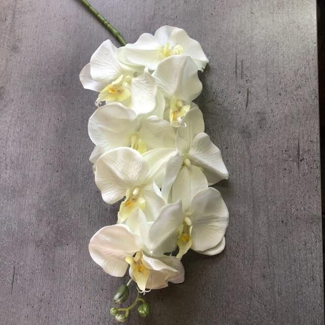 Загружен программно: 913c8182-0286-4c34-ade7-f737352c4b9e.jpeg