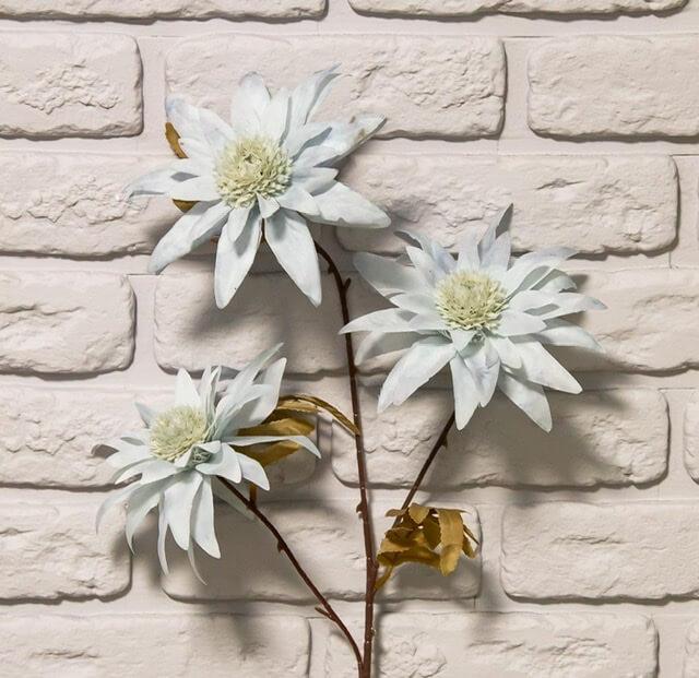 Загружен программно: 987b5391-d5b8-4c6d-8301-5c325abf7b64.jpeg