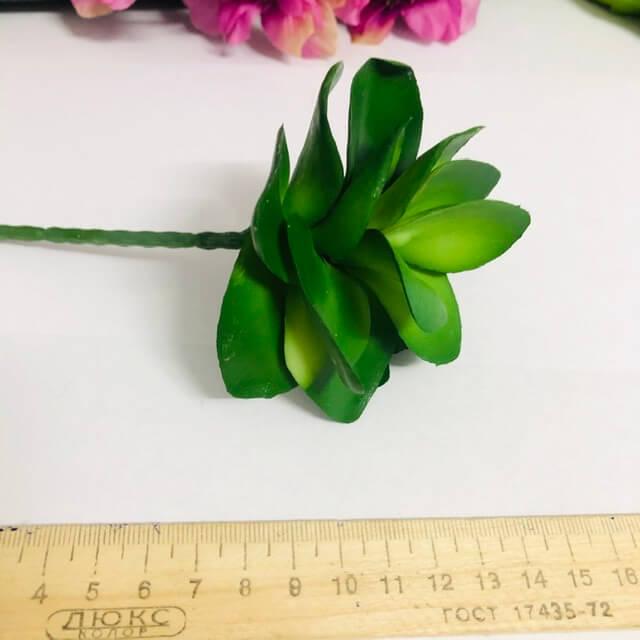 Загружен программно: 9983ecec-0975-44b2-b270-ef1a8fccff69.jpeg