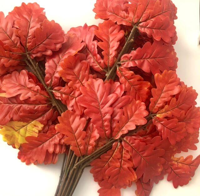 Загружен программно: a174e234-149c-40fa-ab09-4426745599e7.jpeg