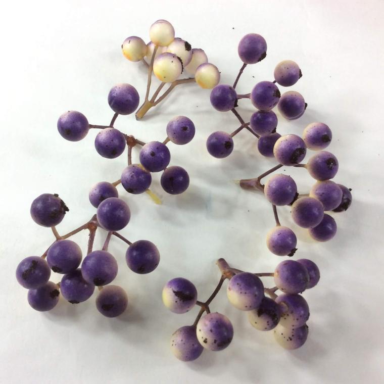 Загружен программно: a43a84b9-f20d-497a-a6f0-1d1f9b5aeb2e.jpeg