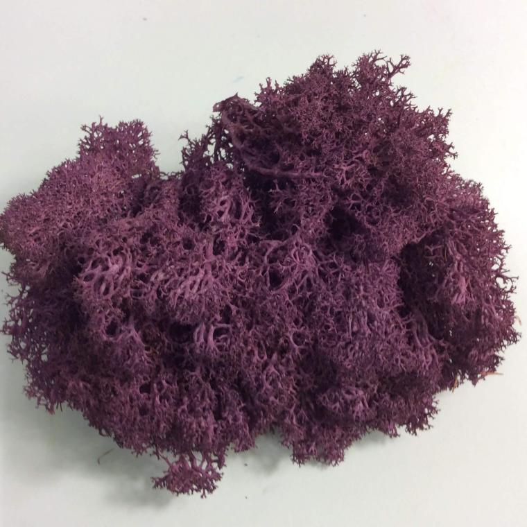 Загружен программно: b04a6f59-2086-407a-9718-ac1616c14b12.jpeg