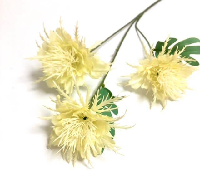 Загружен программно: b1881733-fd8d-4488-8440-c2ddca610a7c.jpeg