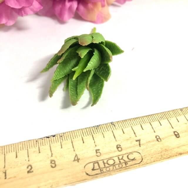 Загружен программно: b80c38dd-e59f-4a9a-8e2c-958f29e45f3e.jpeg