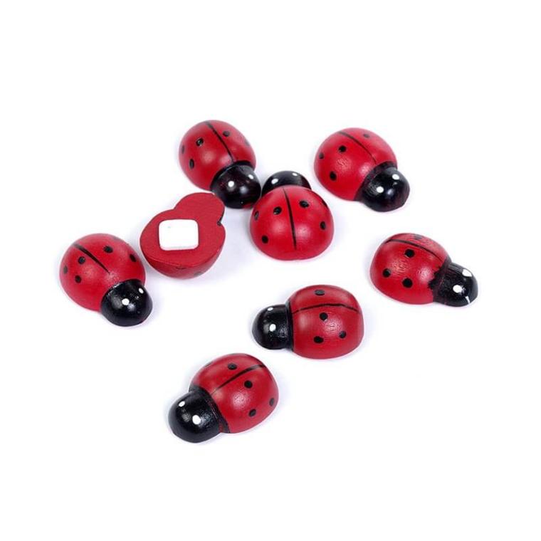 Загружен программно: bukashki_melkie_na_lipuchkah_2.jpg