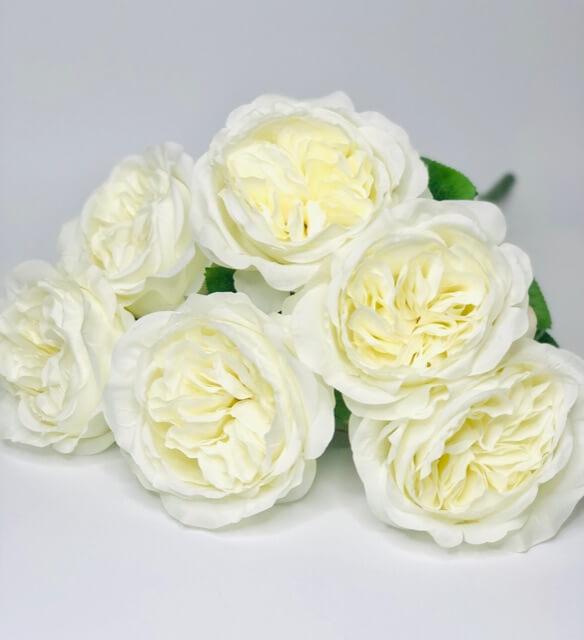 Загружен программно: c0ddd924-0c1e-4d2d-be69-a3dc7558b174.jpeg