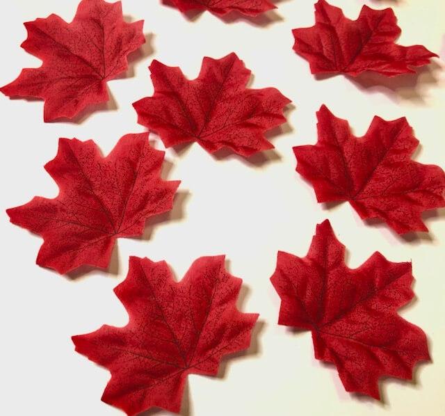 Загружен программно: c93080b9-5b8c-433f-9327-41d1e0ed25ff.jpeg