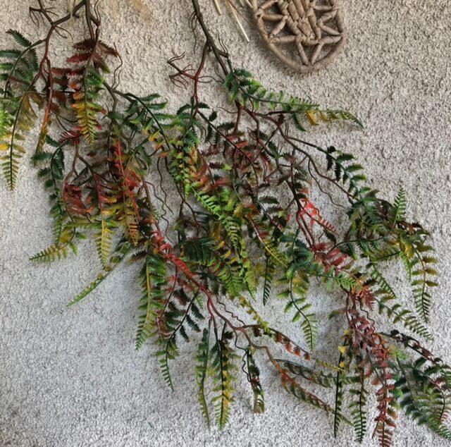 Загружен программно: c9a83701-dd40-4f72-9309-561f6740ef50.jpeg