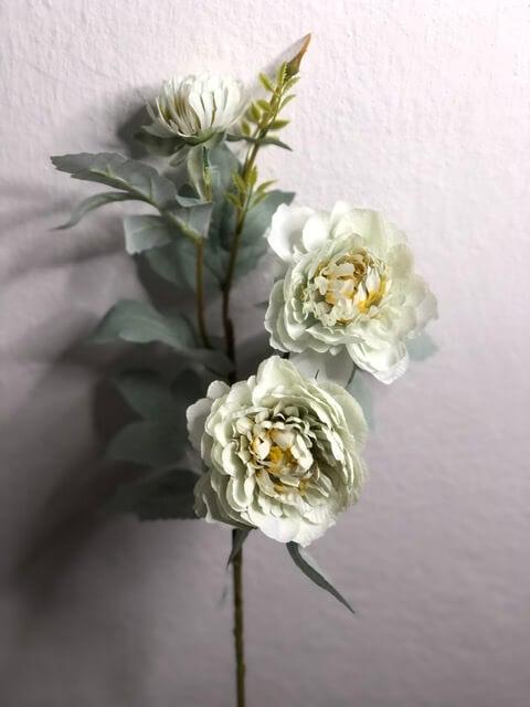 Загружен программно: d04e9d6d-f260-4125-943f-069a557f9e90.jpeg