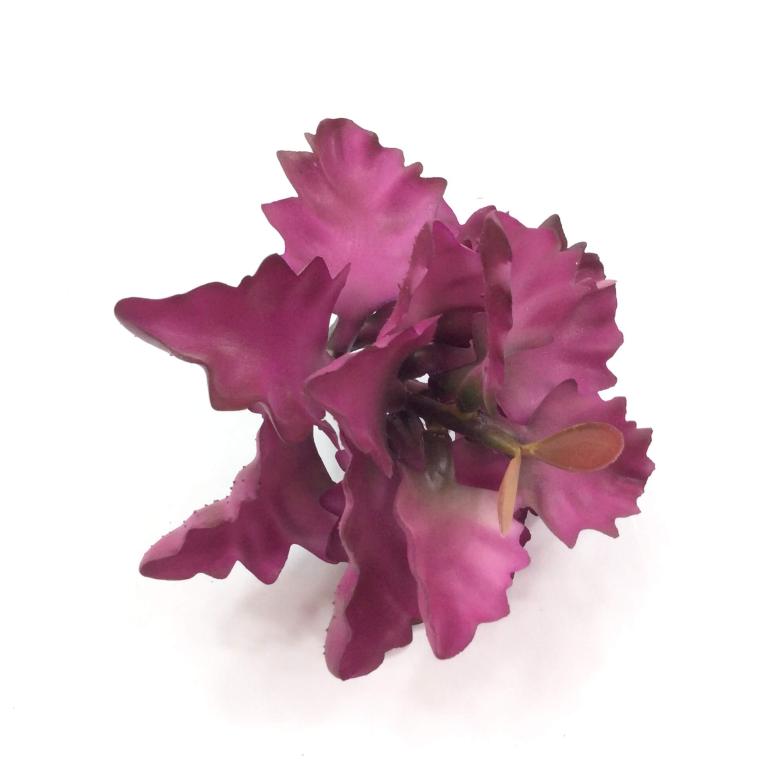 Загружен программно: d1f9cd2d-5b6d-4d5f-a38f-aa1971211a8b.jpeg