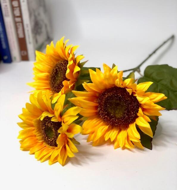 Загружен программно: d5cd2405-36c8-4b6d-a23f-f28169570da5.jpeg