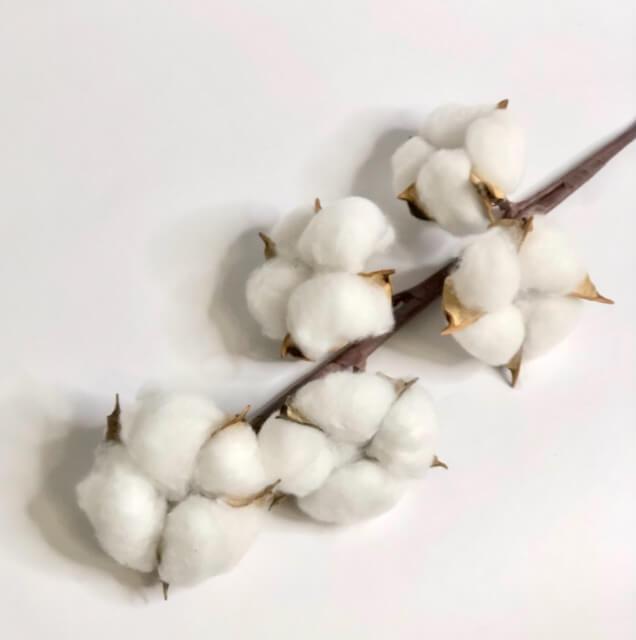 Загружен программно: d5fae3db-a46f-4617-86df-73015e590583.jpeg