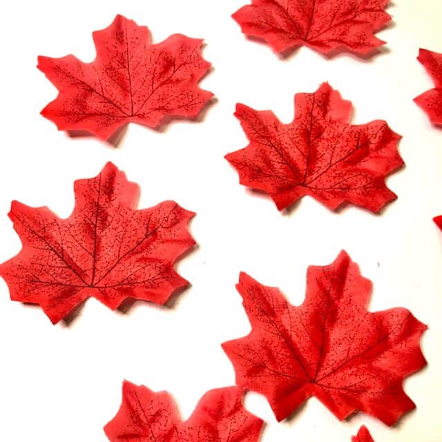 Загружен программно: d89a9b86-301f-4362-9f91-5961dc06a19e.jpeg