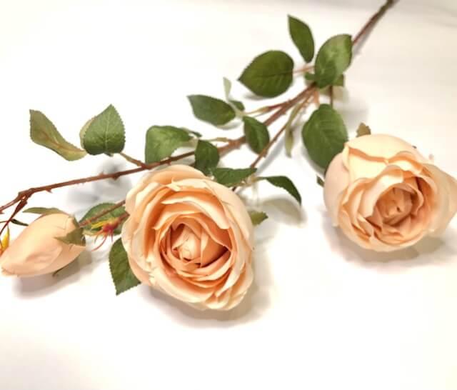 Загружен программно: d96e8335-5e6c-40cb-b922-414746b0efe7.jpeg