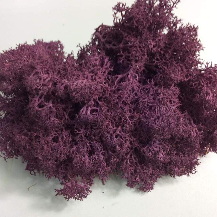 Загружен программно: df38fd8b-3d88-476f-a814-5855387fa86a.jpeg