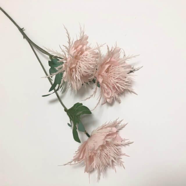 Загружен программно: df4189d4-0af1-4948-8bc9-b3c12f34e3b8.jpeg