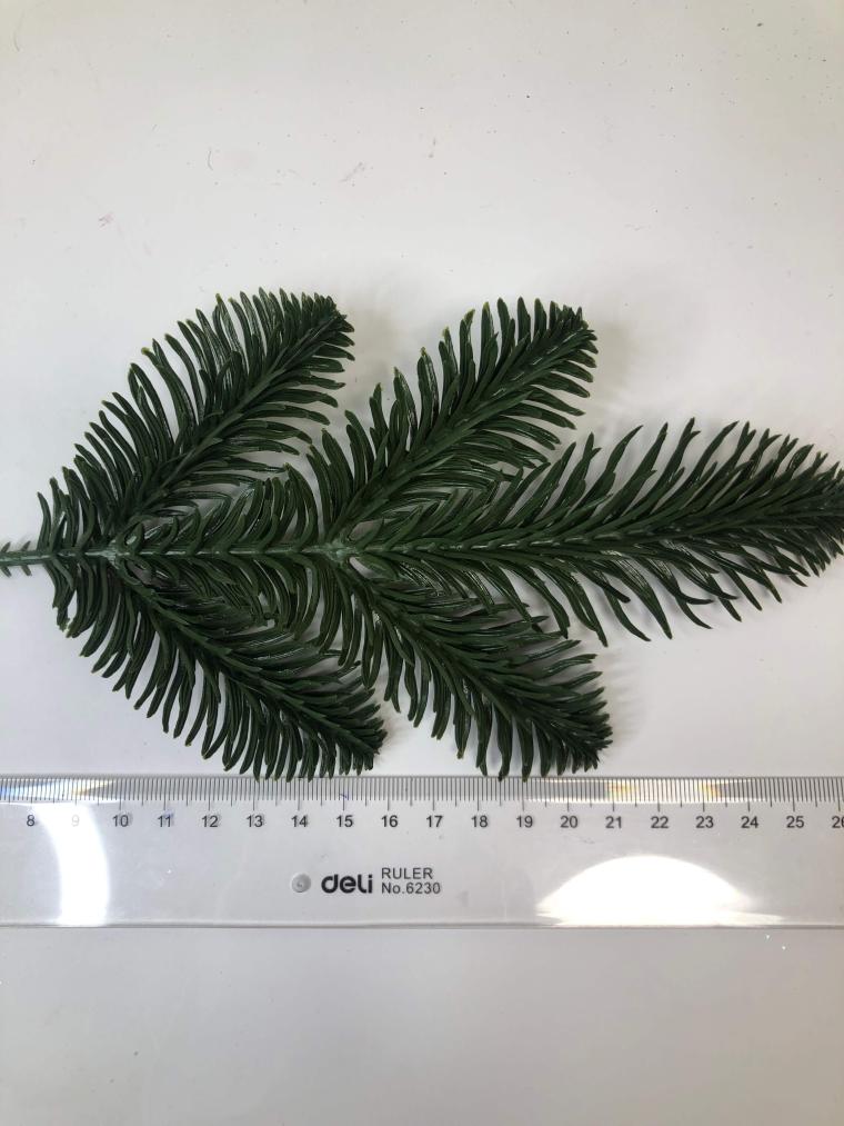 Загружен программно: image_6.jpg